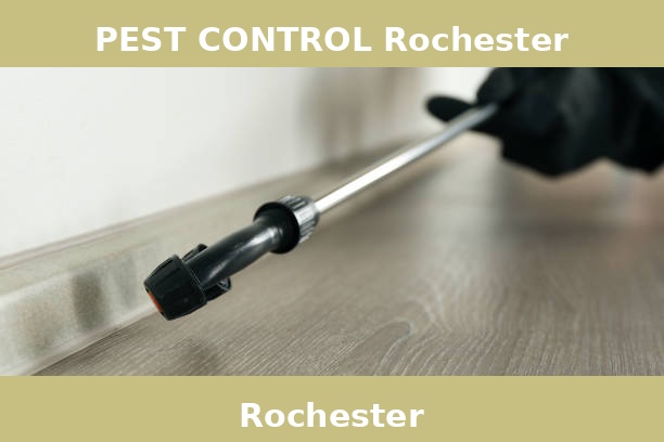 PEST CONTROL Rochester